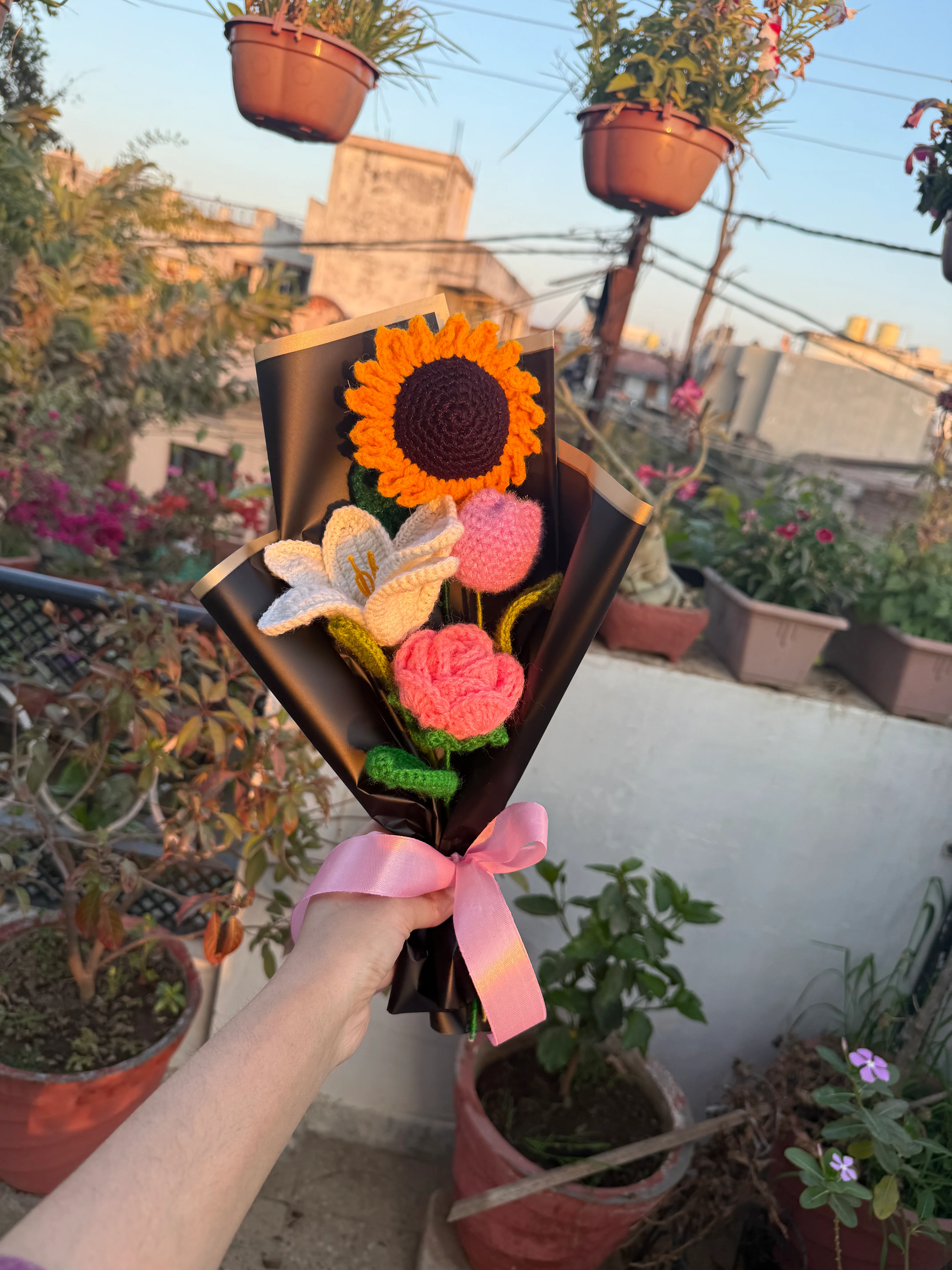 Sunset bloom